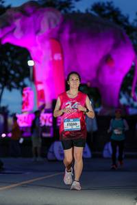 BIB: 
                            <button type="button" onclick="openModal(26529792)" class="btn btn-primary btn-sm float-right btn-popup" data-toggle="modal" data-target=".modal-high-quality">
                        <i class="fas fa-shopping-cart"></i> Add to Cart
                    </button>
                                            <button type="button" onclick="isThisMe(26529792, true)" class="btn btn-success btn-sm float-right btn-popup btn-isme hidden" data-toggle="tooltip" data-placement="bottom" title="นี่คือรูปของคุณใช่ไหม คลิกที่นี่เพื่อเอาเข้าอัลบั้ม">
                        <i class="fas fa-plus"></i> Add to album
                    </button>
                    <button type="button" onclick="isThisMe(26529792, false)" class="btn btn-warning btn-sm float-right btn-popup btn-isnotme hidden">
                        <i class="fas fa-ban"></i> Remove from album
                    </button>